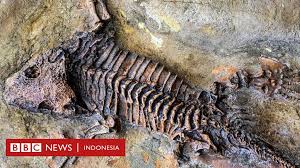Membuat kalimat menggunakan kata fosil. Anda Ingin Menjadi Fosil Simak Tujuh Kiat Ini Bbc News Indonesia