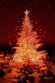 Christmas Cheer Christmas Tree Gif Christmascheer Christmastree Christmaslights Gifs Christmas Lights Animated Christmas Christmas Scenes