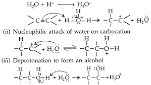 Download free solutions of ncert chemistry class 12th from saralstudy. Important Questions For Class 12 Chemistry Chapter 11 Alcohols Phenols And Ethers Class 12 Important Questions Learn Cbse