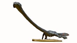 Image result for Tanystropheus