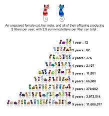 Chart Depicting Number Of Cats Reproduced If Not Spayed