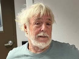 Henderson drone theft leads to 8 arrests