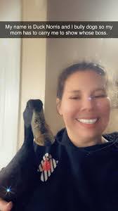 Chelsea Dunham's Instagram, Twitter & Facebook