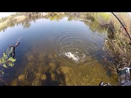 Top 10 Best Fishing Sites In California Southern Northern Areas