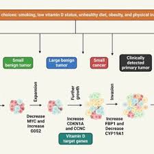 Pathan AMANULLA KHAN