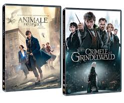 Ați ghicit, fantastic beasts and where to find them (animale fantastice și unde le poți găsi). Pachet Animale Fantastice I Ii Box Set Fantastic Beasts I Ii David Yates