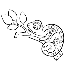 Download 92 royalty free chameleon coloring page vector images. Coloring Pages Wild Animals Little Cute Chameleon Sleeps On The Tree Branch Tasmeemme Com