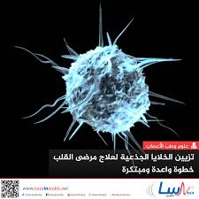 عادة ، تكون كمية الخلايا الجذعية في الدم المتداولة في الأوعية منخفضة. Ù†Ø§Ø³Ø§ Ø¨Ø§Ù„Ø¹Ø±Ø¨ÙŠ ØªØ²ÙŠÙŠÙ† Ø§Ù„Ø®Ù„Ø§ÙŠØ§ Ø§Ù„Ø¬Ø°Ø¹ÙŠØ© Ù„Ø¹Ù„Ø§Ø¬ Ù…Ø±Ø¶Ù‰ Ø§Ù„Ù‚Ù„Ø¨ Ø®Ø·ÙˆØ© ÙˆØ§Ø¹Ø¯Ø© ÙˆÙ…Ø¨ØªÙƒØ±Ø©