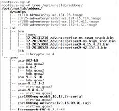 EVE-NG镜像添加技巧（以思科虚拟化产品为例） | 极牛网