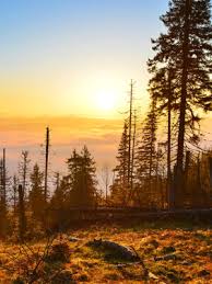 Harold L. Bratcher Obituary 2022