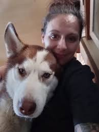 Lost Tan and White Dog Found in Butler County, Ohio