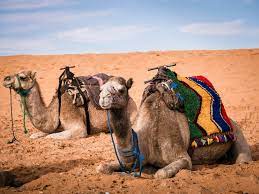 You could walk for days in mcdougal's cave. How To Plan A Desert Trip To Merzouga And Fun Things To Do In The Desert In Morocco