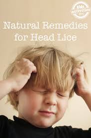 Natural Remedies for Lice Kids Activities Blog