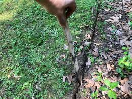 The fence wire rides on a spool above the plow and feeds down through a steel shoe. How To Install An Electric Underground Fence For Pets Hgtv