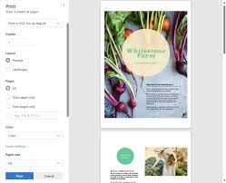 Image result for print to file