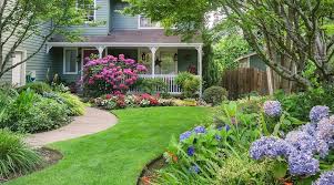 Planting trees and shrubs too deep is the no. Shrubs And Perennials For A Colorful Summer Landscape Visit The Plant Experts At Platt Hill Nursery