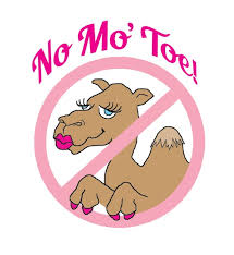 How to avoid camel toe! No Mo Toe 2 Packs Camel Toe Concealer Pads Etsy