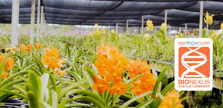 In addition to the benefits provided by biotechcorp, these companies will be receiving additional support in the form of preferential prices and free maintenance support from. Bioeconomy Corporation Eppendorf To Support Bionexus Companies In Malaysia