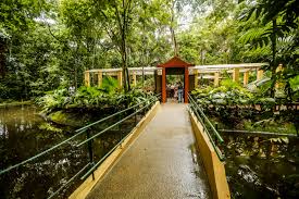 Jardim botanico is one of rio de janeiro's many neighborhoods travelers like to visit. Jardim Botanico Do Recife Reabre Ao Publico Na Sexta Feira 11 Com Novos Protocolos De Seguranca Folha Pe