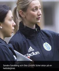 Ryggklinik i Härnösand Sundsvall AB