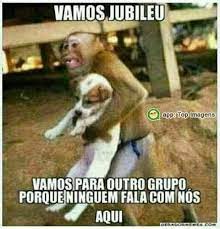 30 Imagens Engracada Exclusivas Para Grupos De Whatssapp Frases Engracadas Para Whatsapp Frases Engracadas Mensagens Engracadas