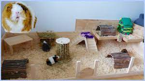 Check spelling or type a new query. How To Build Your Own Wooden Guinea Pig Cage Diy Cage Youtube