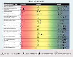 Image result for Psydrax subcordata