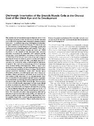 Pdf Cholinergic Innervation Of The Smooth Muscle Cells In