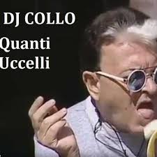 Video mediaset del 28 giugno col paroliere ospite su canale 5. Dj Collo Quanti Uccelli Cristiano Malgioglio Mix By Dj Collo