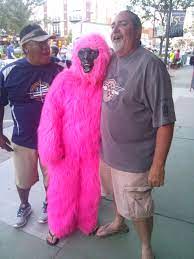 Pin On Beautybar Bb The Gorilla