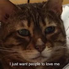 Tastefully Offensive On Tumblr Katzen Memes Lustige Katzen Susse Katzen