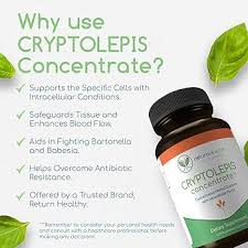 Image result for Cryptolepis