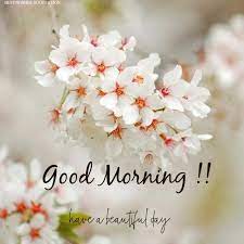 Pin On Morning