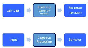 Pin On Cgnitive Theory