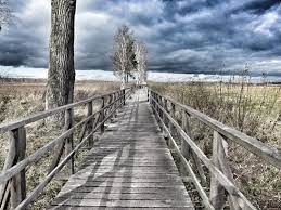 Freue mich, schon bald wieder auf der interdive friedrichshafen vorbeizuschauen um den tauchurlaub 2021 zu planen! Federsee Bad Buchau Schone Landschaften Landschaft Natur