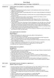 That the bank's model risk management framework continues to align with regulatory expectations…job description this. Credit Risk Management Resume Samples Velvet Jobs