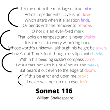 A sonnet is fourteen lines long. How To Write A Shakespearean Sonnet How To Be A Better Writer Series