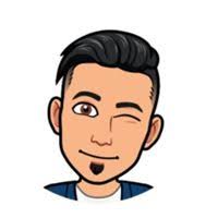 AURIA SOLUTIONS USA, INC