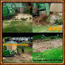 I had a large dead tree on my property that on one side was within 2 feet of a fence on the property line and on the other side was 12 feet from our house. Stump Grinding Land Clearing In Clinton County Pa Pruning