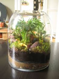 Dinosaur Terrarium Mini Garden Gardening For Kids Miniature Garden