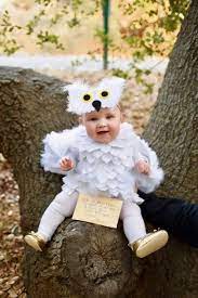 Hedwig Baby Owl Costume Diy No Sew Make Life Lovely