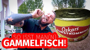 Check spelling or type a new query. So Isst Man N Schwedischen Gammelfisch Surstromming Richtig Essen Youtube