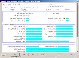 Electronic Charting For Nursing Staff And Providers Ehr