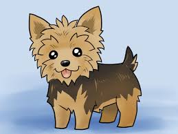 How To Draw A Yorkie With Pictures Wikihow Learn how to draw poo simply by following the steps outlined in our video lessons. how to draw a yorkie with pictures
