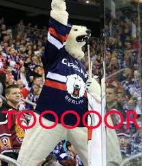 High quality hd pictures wallpapers. Die 33 Besten Ideen Zu Eisbaren Berlin In 2021 Eisbaren Berlin Eisbar Berlin