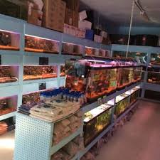 Cartimar pet center manila philippines aquapress bleher. Fish Pet Store Near Me Pet S Gallery