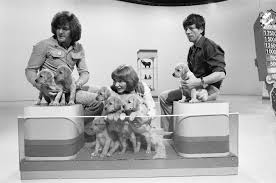 Peter purves, companion to the first doctor, made the exciting announcement. Blue Peter Celebrates 60 Glorious Years Leicestershire Live