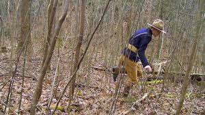 Teddy roosevelt wearing rough rider uniform and sitting on a horse 1898. Spanish American War Rough Riders Camouflage Effectiveness Youtube
