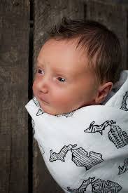 Heidi Lofquist's Instagram, Twitter & Facebook