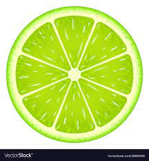 Lime Slice Isolated On White Background Fresh Fruit Download A Free Preview Or High Quality Adobe Illustr Fruit Art Drawings Lemon Art Vegetable Illustration